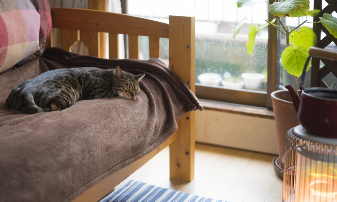 2月は暖かい部屋でゆっくりと春を待ちましょう